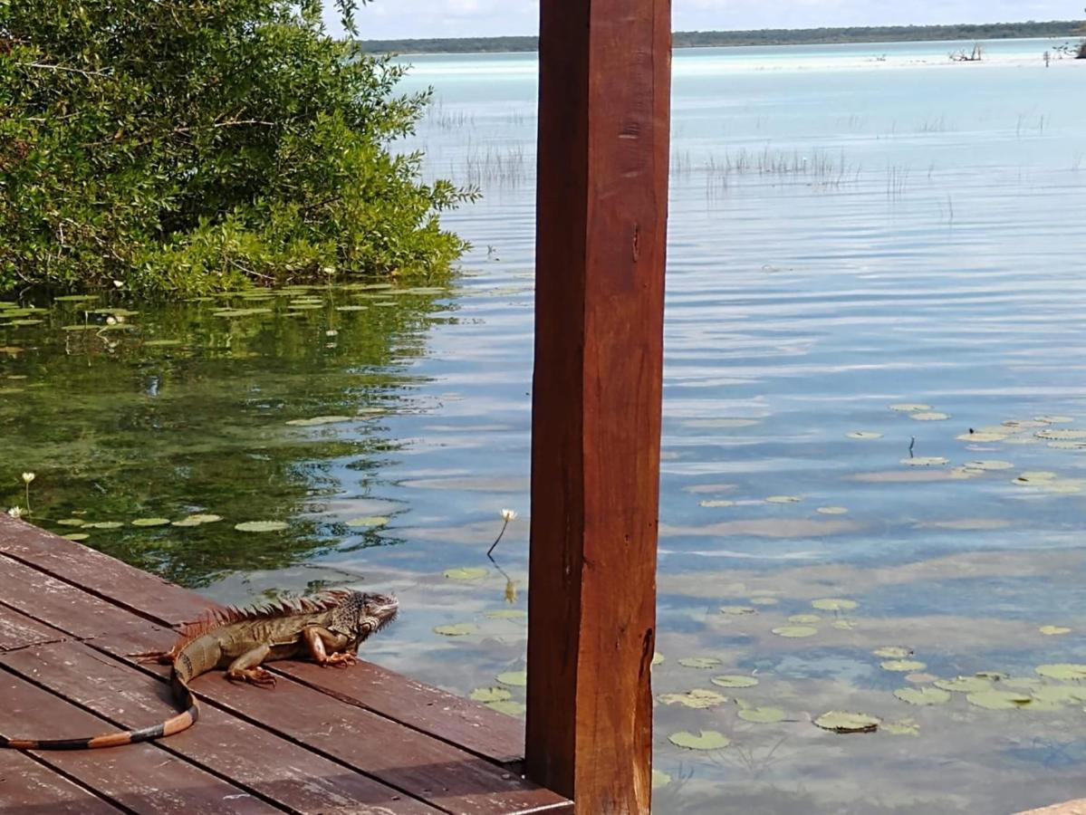 Casa Shiva Bacalar By Mij Bed & Breakfast エクステリア 写真