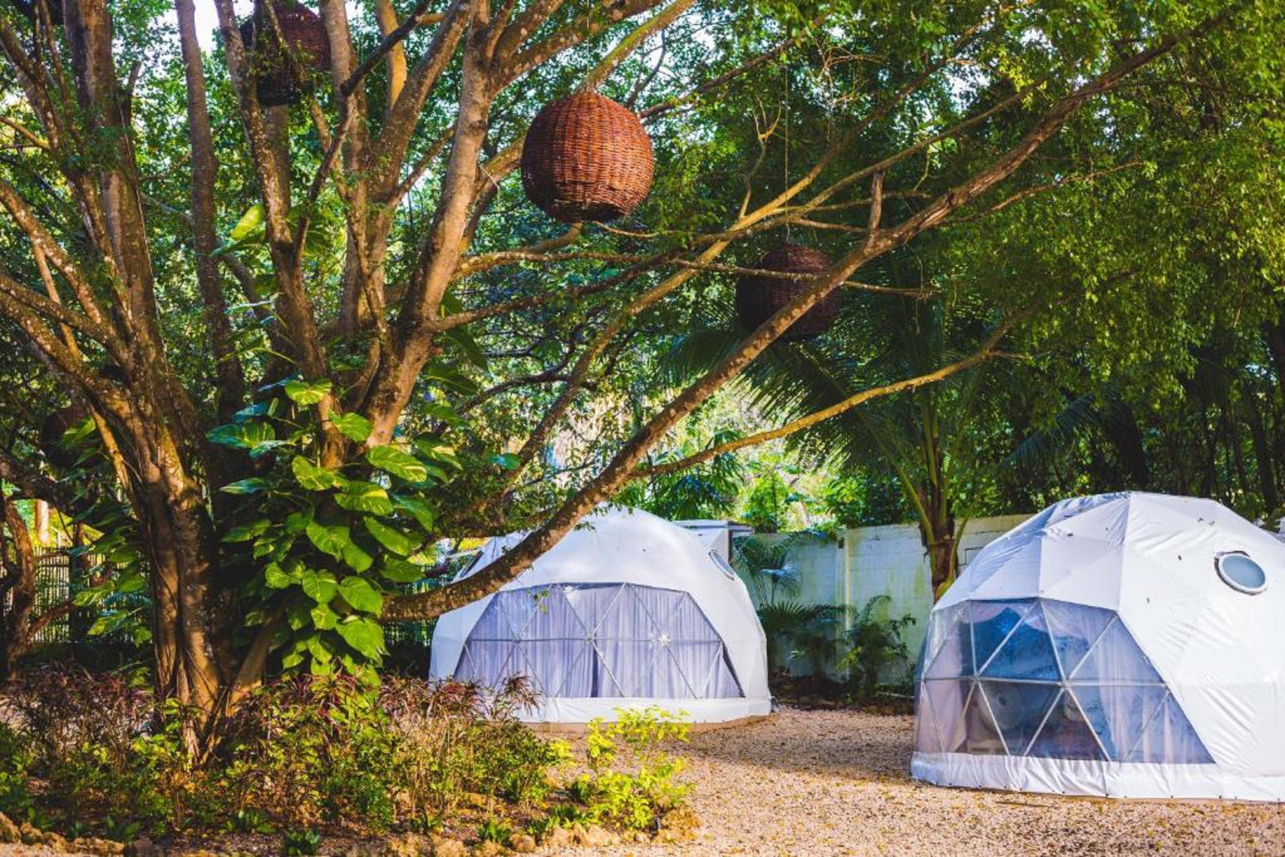 Casa Shiva Bacalar By Mij Bed & Breakfast エクステリア 写真